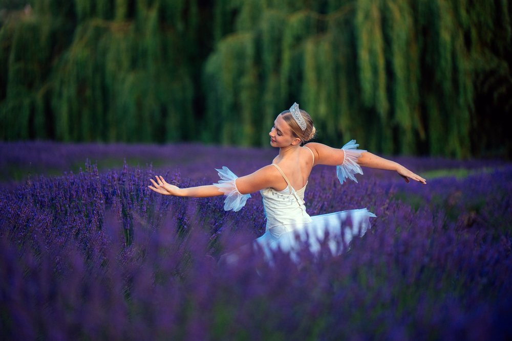 A female ballet dancer performs gracefully in a lavender field in Washington, WA, USA.