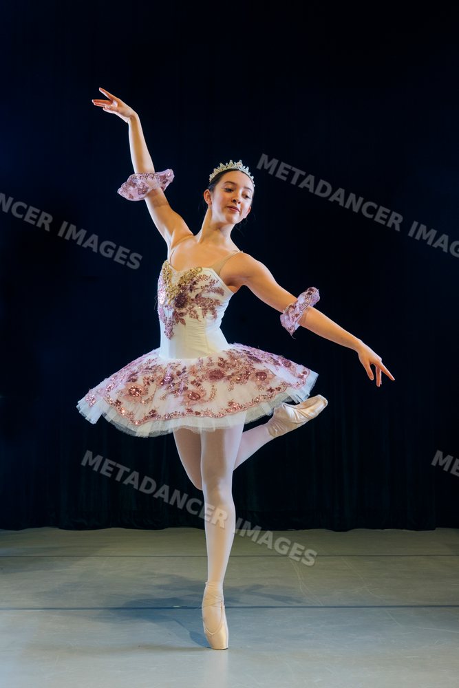 A ballerina performs a graceful pose during a dance performance
