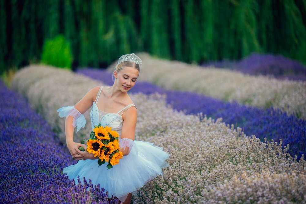 A ballerina in a white tutu and tiara holds a bouquet of sunflowers while posing gracefully in a lavender field, WA, USA.