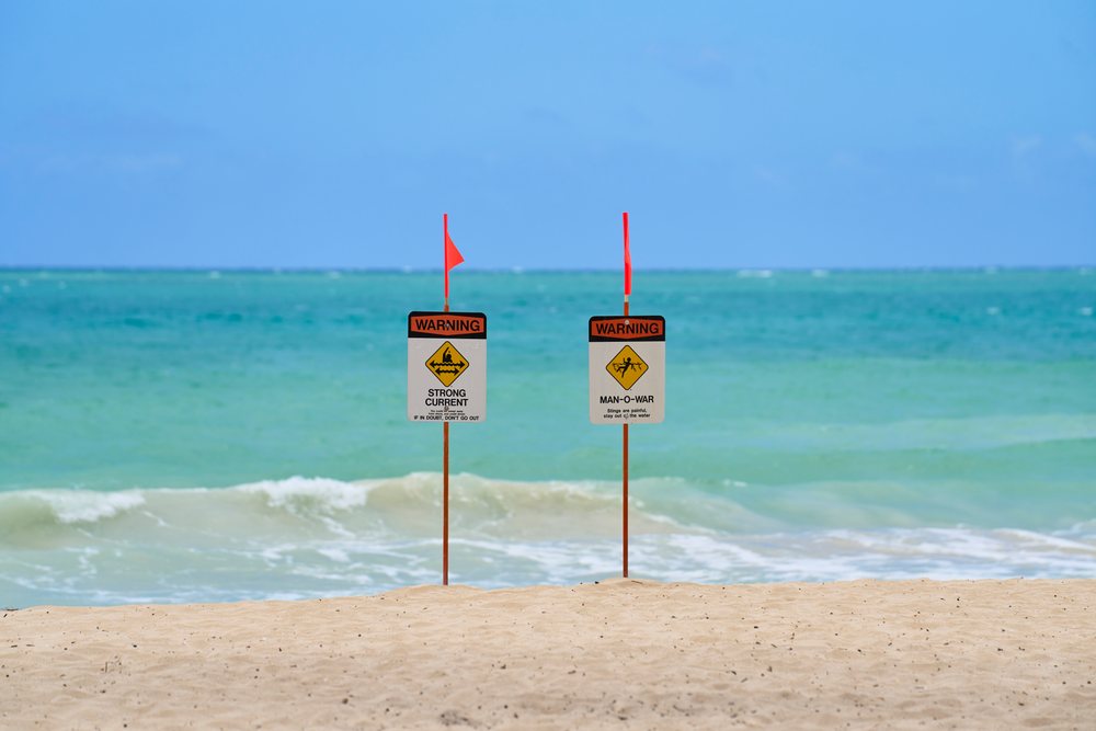 Warning signs with red flags alert to strong currents and man-o-war hazards on a sandy Hawaii beach with ocean waves, USA.