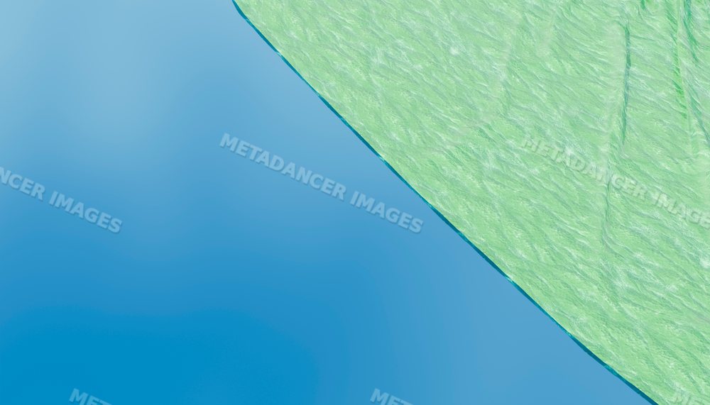 Close-up image highlighting the detailed texture of a green leaf