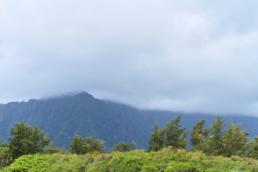 Mountain peak with fog and clouds above lush green trees and dense vegetation in Hawaii outdoors, USA.