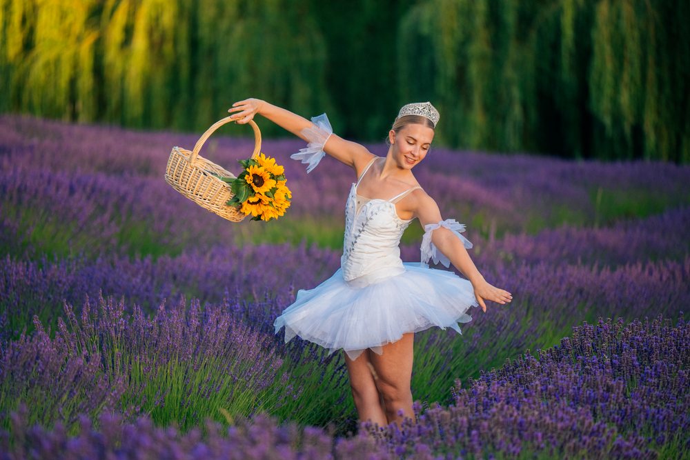 A ballerina in a white tutu holding a basket of sunflowers dances gracefully in a purple lavender field, WA, USA.