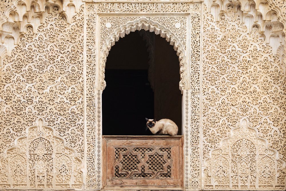 Siamese cat perched on a carved wooden panel beneath an ornate archway inside Medresa El Bouanania, Landscape, Lifestyle, Fes, Fes-Mekners Administrative Regio, Morocco.