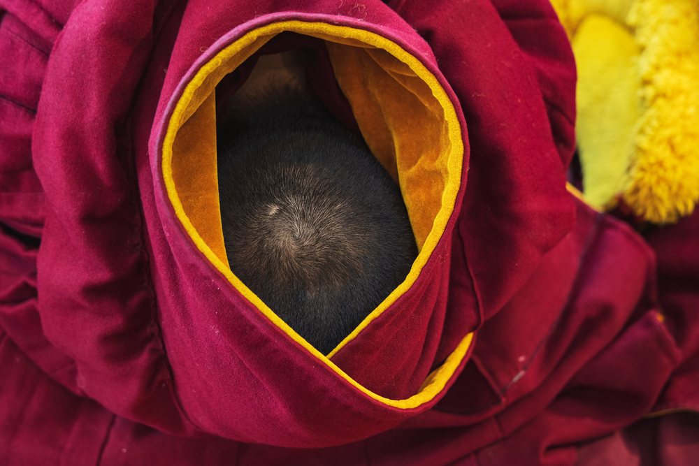 Monk with shaved head seated inside a maroon robe with yellow lining at Sexusi Monastery in Kham Tibet, Sichuan Province, People's Republic of China.