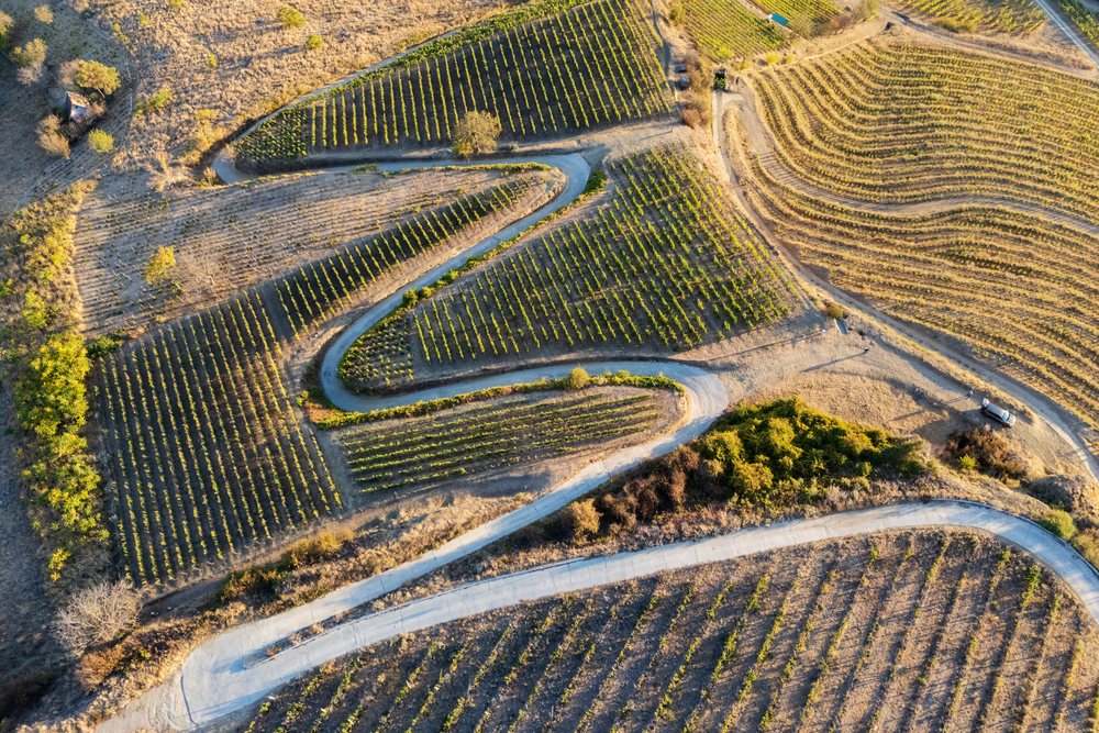 Sunlit winding concrete road curves through Vineyards with grapevines and shrubs in rural, Landscape, Tokaj, Hungary.