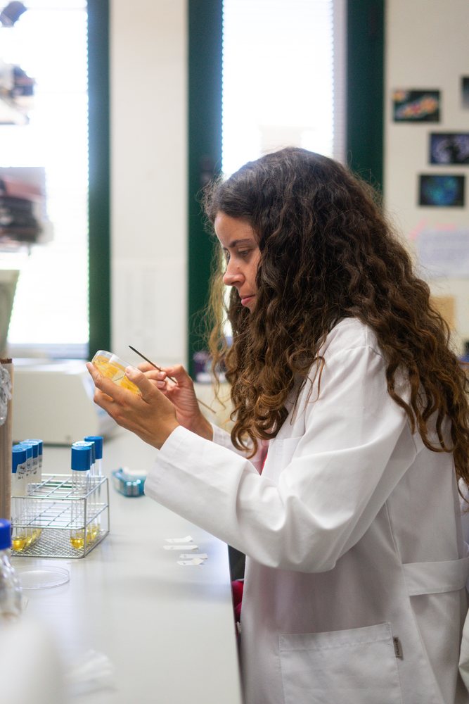 Woman scientist wearing a white lab coat examining a sample in a petri dish during biology research in a laboratory, Seville, Andalucía.