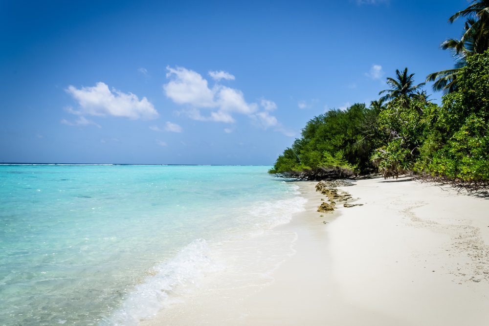 Beach with ocean waves, tropical trees, and sand under a blue sky and clouds, summer, Holliday, travel, landscape, Maldives.
