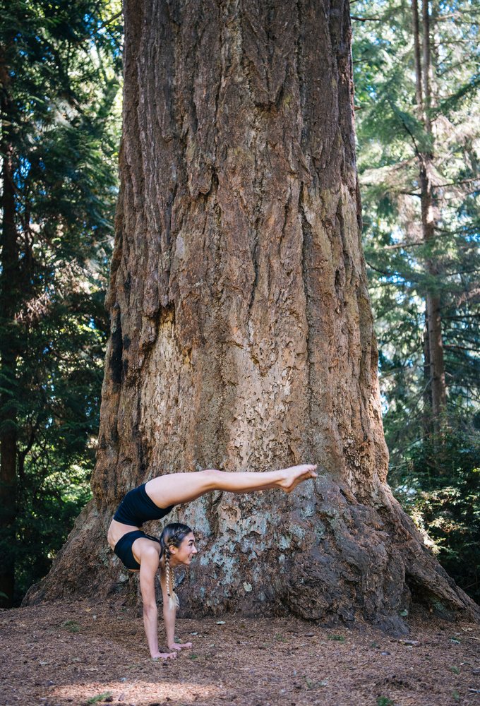 Contortionist woman performing a backbend yoga pose on a forest floor by a large tree trunk, Tacoma, WA, USA.