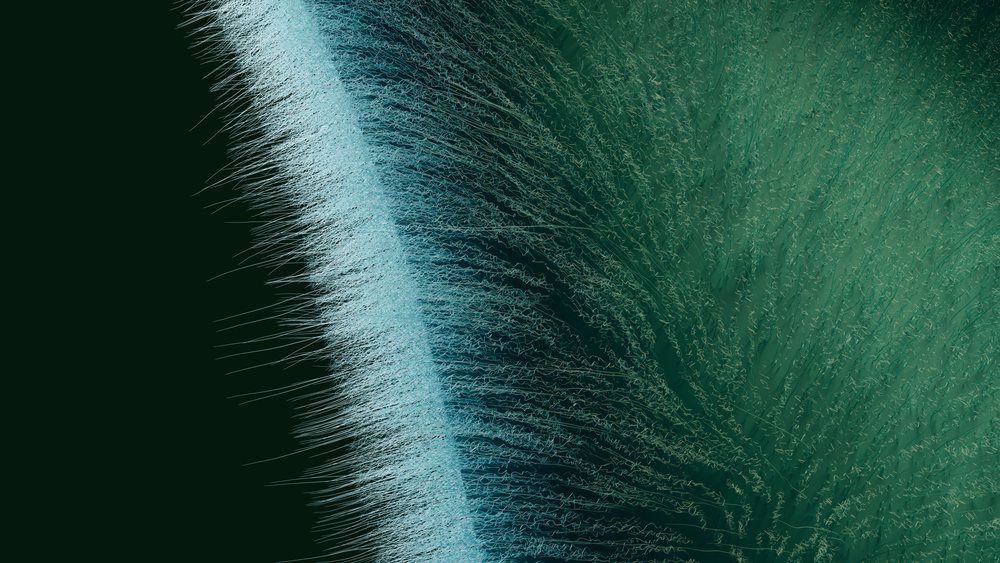 Close-up of intricate blue and green fibers showing fine textured strands, curved pattern.