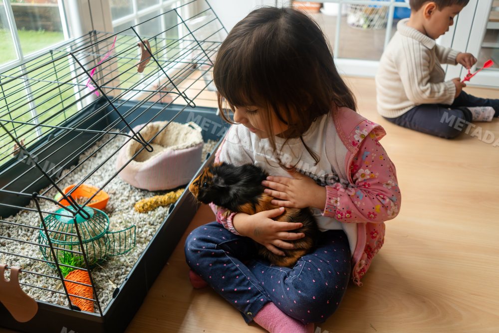 A white girl holding and petting a small pet indoors in Madrid Spain