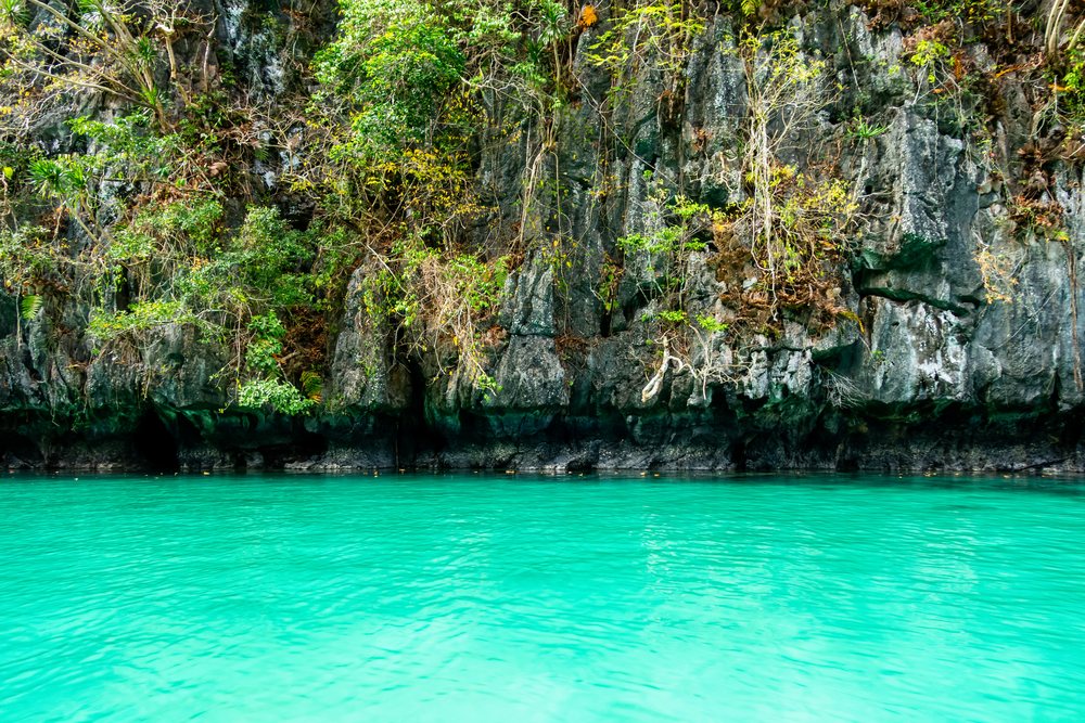 Turquoise water laps against a rocky limestone cliff adorned with tropical plants, Philippines.