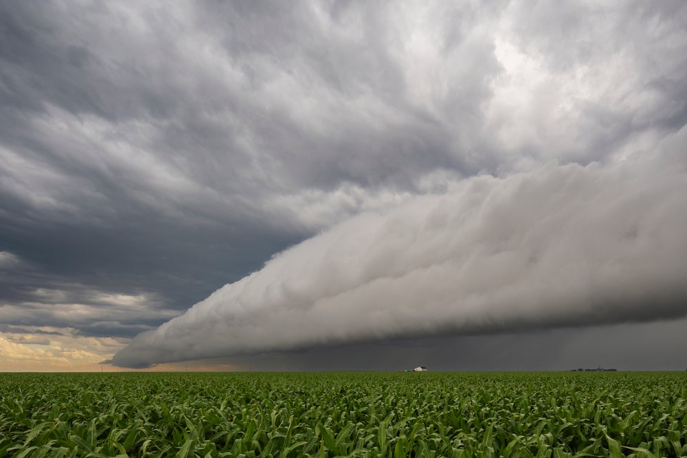 Roll cloud appearing detached and horizontal above a large Corn field on a flat rural landscape, under stormy conditions in Tornado Alley, Storm Chasing, Funk, Nebraska, USA.