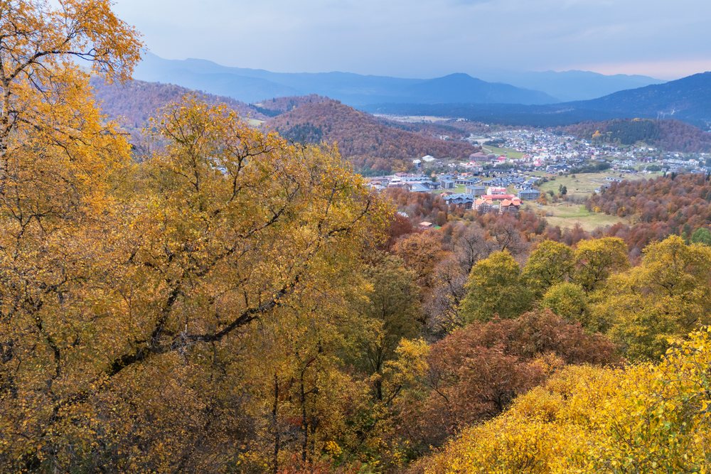 View of Bakuriani Ski Resort and autumn forest from the top of Didveli Gondola, Georgia.