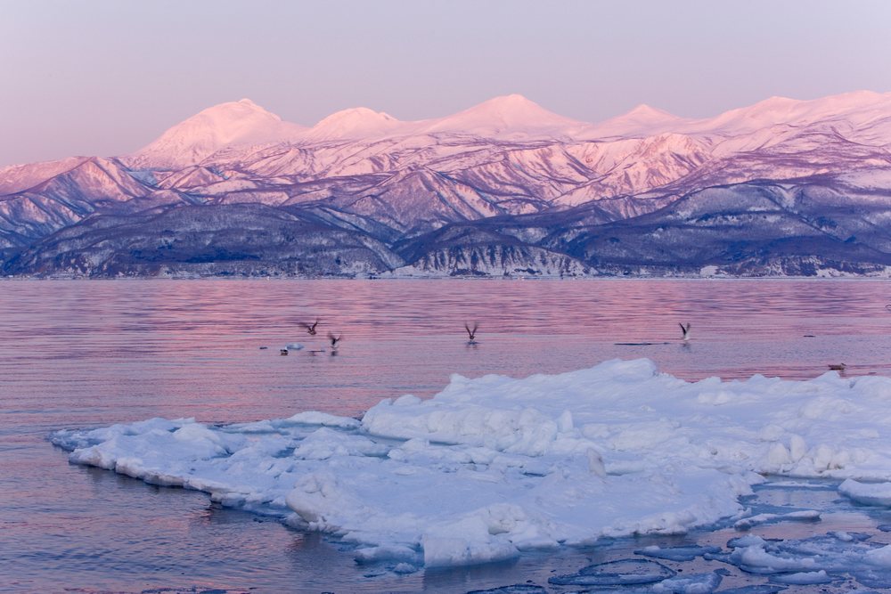 Sunrise over snow-covered mountains with ice floes and birds on the Nemuro Channel, Shiretoko Peninsula, Hokkaido, Japan.