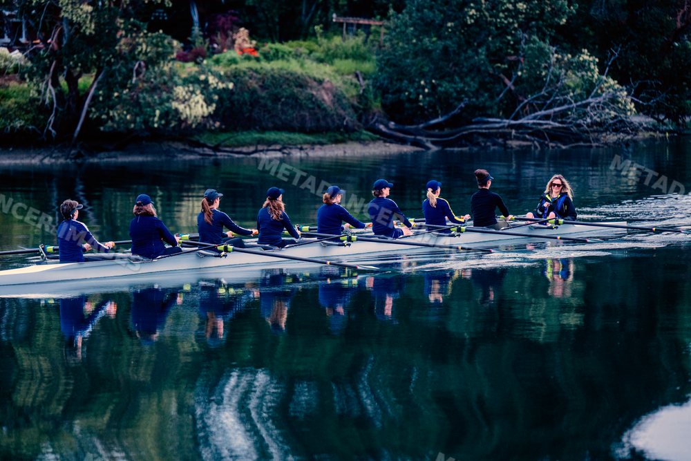 A white women's rowing team practicing together on calm water