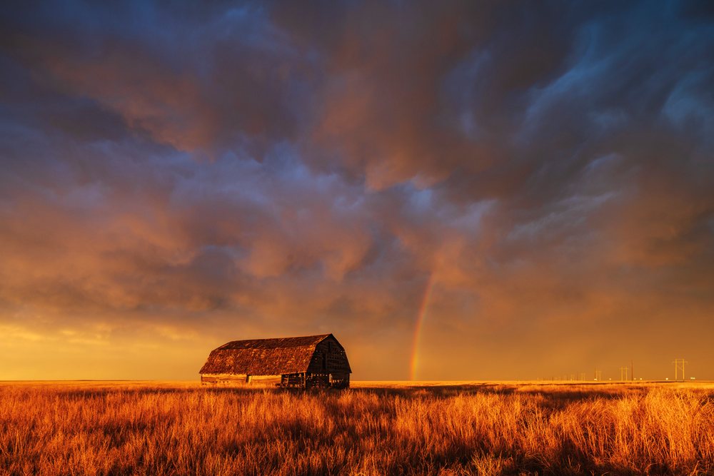 Old wooden barn stands amid tall grass in a grassy field under storm clouds and a Rainbow at Sunset, Storm Chasing, Weather, Environment, Eva, Oklahoma, USA.