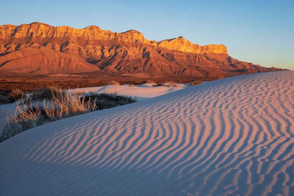 Sunset illuminates salt Basin Dunes with Guadalupe Peak and El Capitan mountains in Guadalupe Mountains National Park, landscape, wildlife, Dell City, Texas, USA.