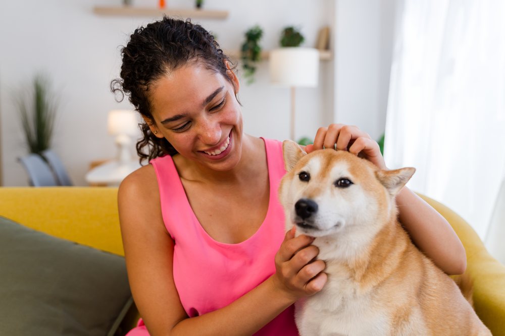A woman in a pink shirt smiles while petting a small dog on a yellow sofa inside a living room, Spain.