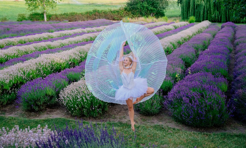 A ballerina in a white tutu dances gracefully in a lavender field on a flower farm, WA, USA.