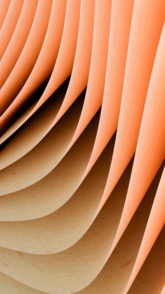 Multiple curved orange paper sheets layered to form an abstract architectural design with smooth texture and soft shadows.