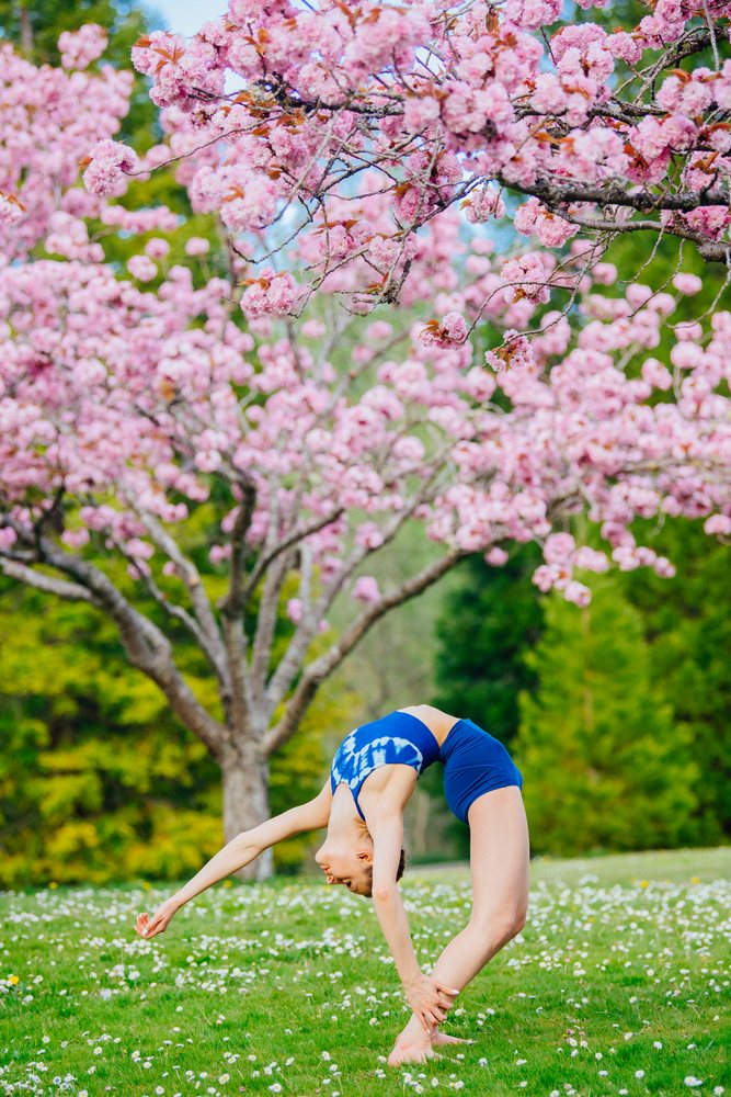 Woman performing backbend yoga pose on grass near cherry blossom tree outdoors in spring, USA.