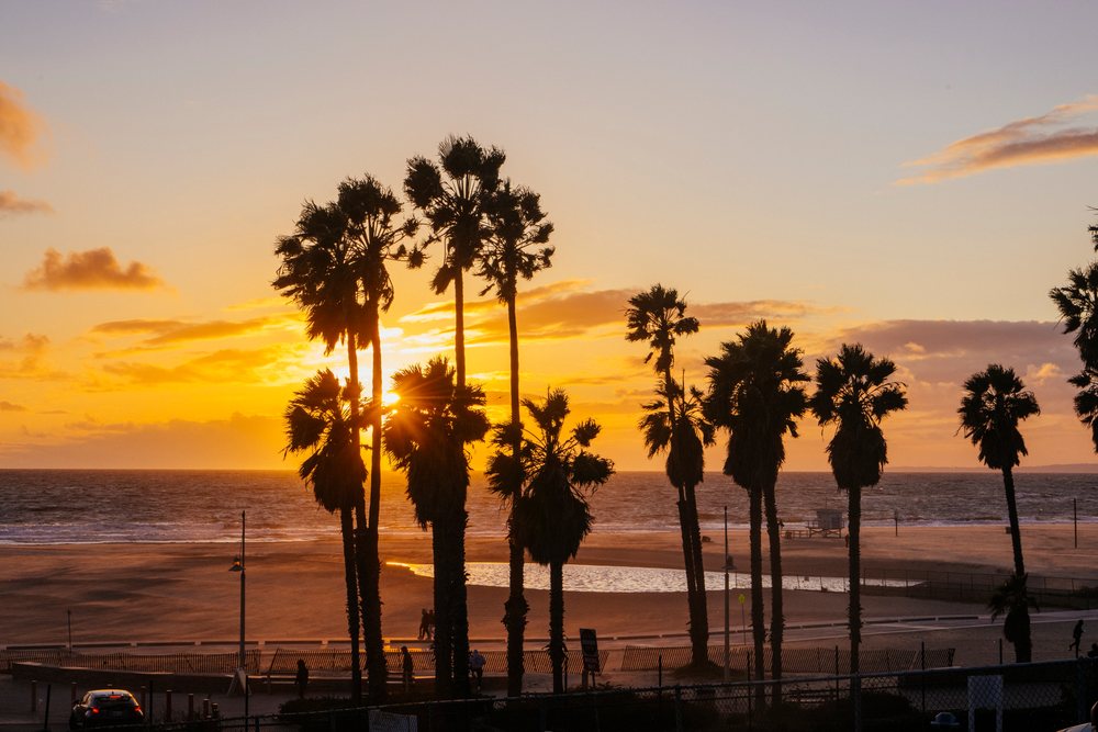 Sunset silhouetting palm trees on the sandy beach with ocean waves, Venice Beach, CA, USA.