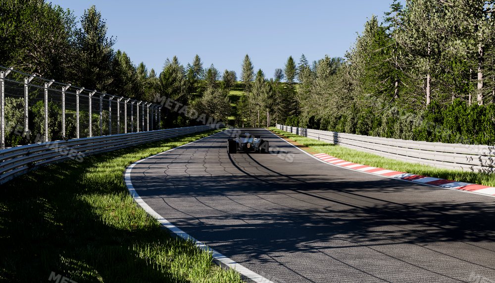 Race car driving down a forest-lined curved racetrack on a sunny day