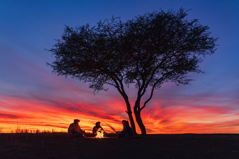Three Berbers sit by a fire under an acacia tree at sunset in the desert, Lifestyle, Landscape, Culture, Merzouga, Errachidia Province, Morocco.