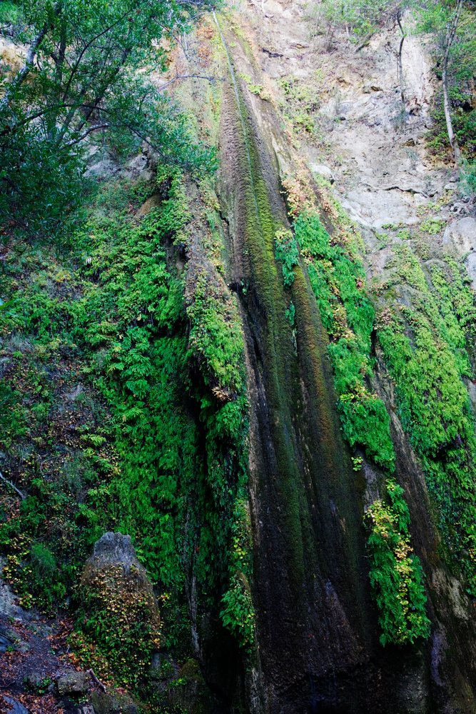 Nojoqui Falls cascades with thin water flow over a moss-covered rock face, Southern California, USA.