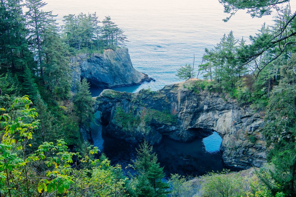 Natural stone arches and evergreen trees overlook the Pacific Ocean's rocky coastline, Boardman State Park, Oregon, USA.