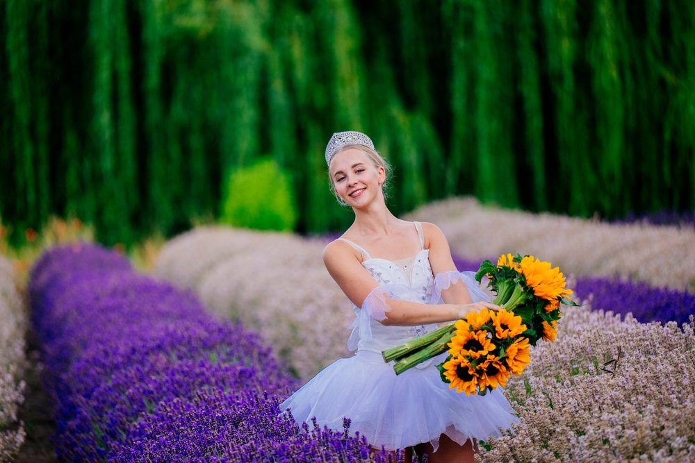 A ballerina dressed in white holds a bouquet of sunflowers while standing in a lavender field in WA, USA.