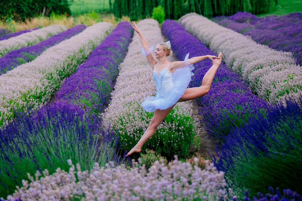 A ballet dancer leaps gracefully through rows of blooming lavender flowers in a scenic flower garden, WA, USA.
