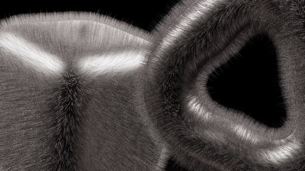 Digital abstract illustration of soft, furry, curved gray shapes with flowing forms on a black background.
