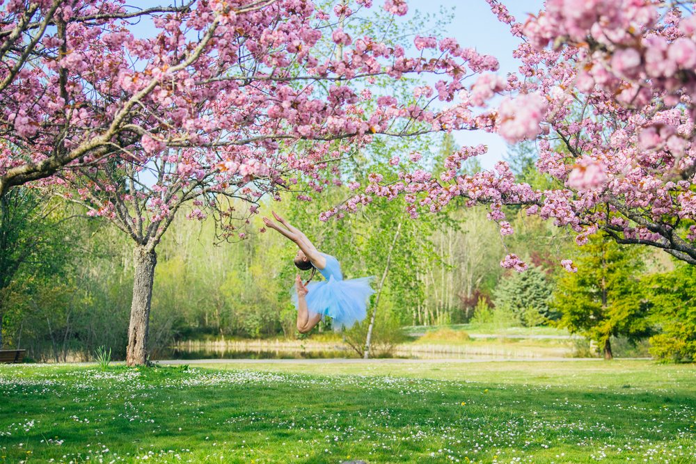 Ballet dancer in blue tutu gracefully jumping among blossoming cherry trees in a green park in the USA on a sunny spring day.
