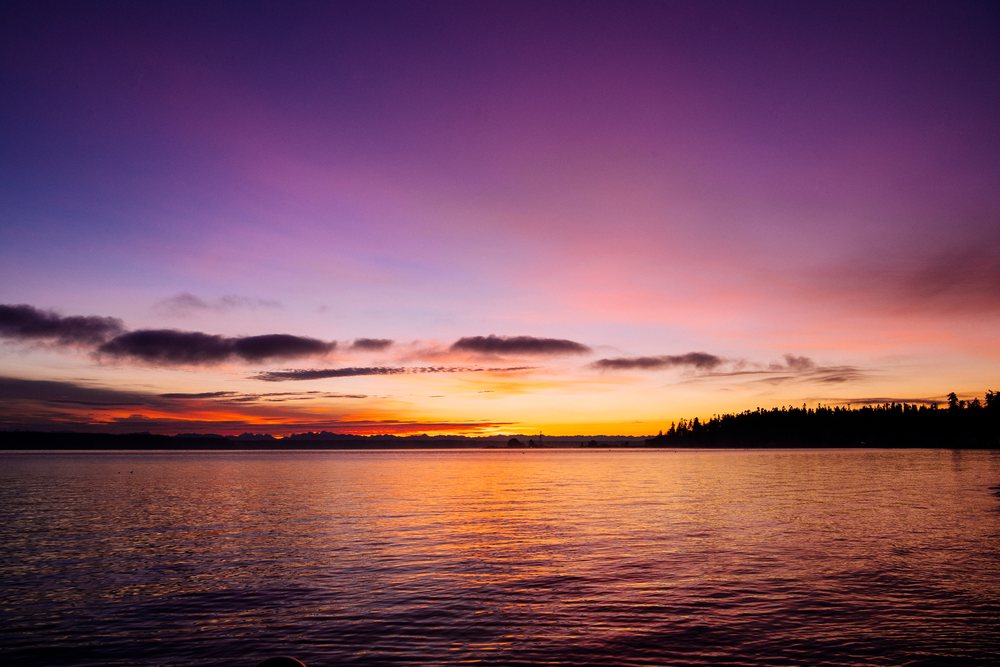 Sunset over calm water with silhouetted tree line, shington, Norwegian Point, WA, USA.