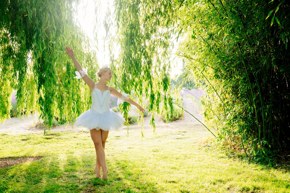 A ballerina in a white tutu dances gracefully outdoors under a weeping willow tree in WA, USA.