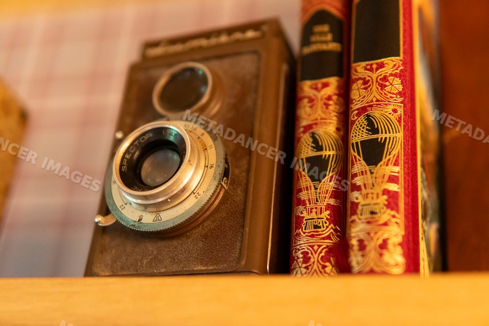 Vintage camera and ornate books on a wooden shelf in Verdun, France