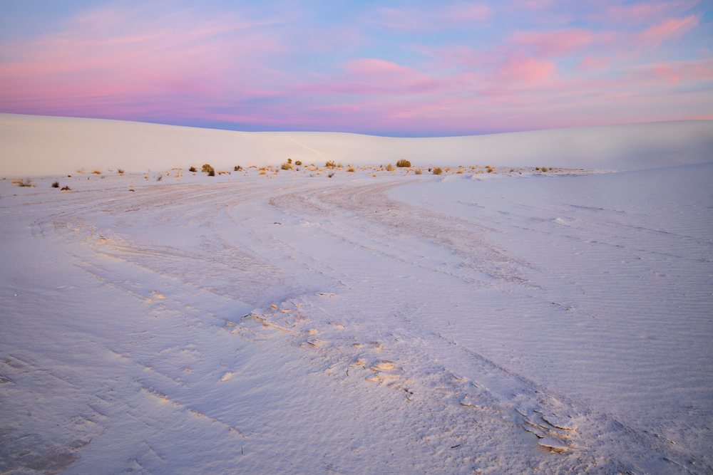 Sunrise illuminates sand dunes and sparse desert vegetation at white Sands National Park, landscape, wildlife, Alamogordo, New Mexico, USA.