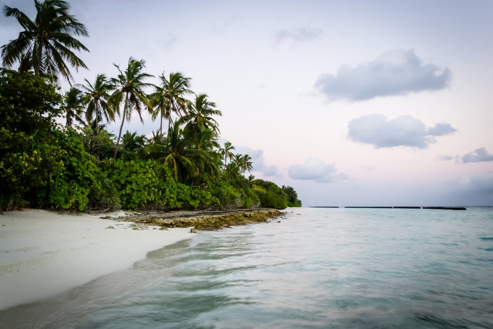 Tropical beach with coconut palms, white sand, and ocean water in the Maldives at sunset, summer, Holliday, travel, landscape.