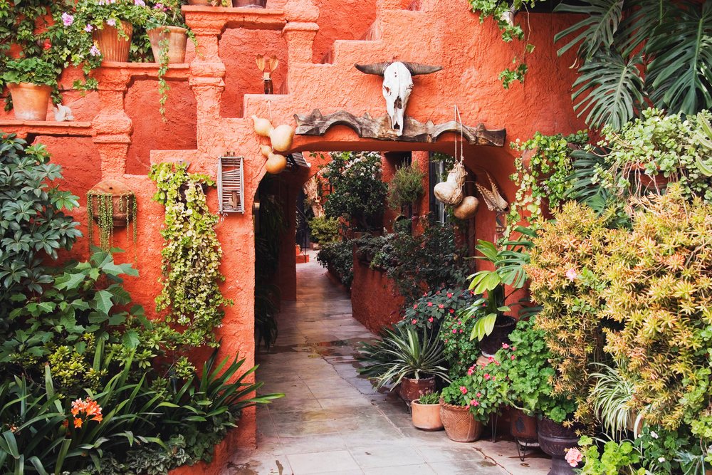Outdoor courtyard passage with red textured walls, stone floor, and diverse green potted plants including succulents and flowering species, Guanajuato Province, Mexico.