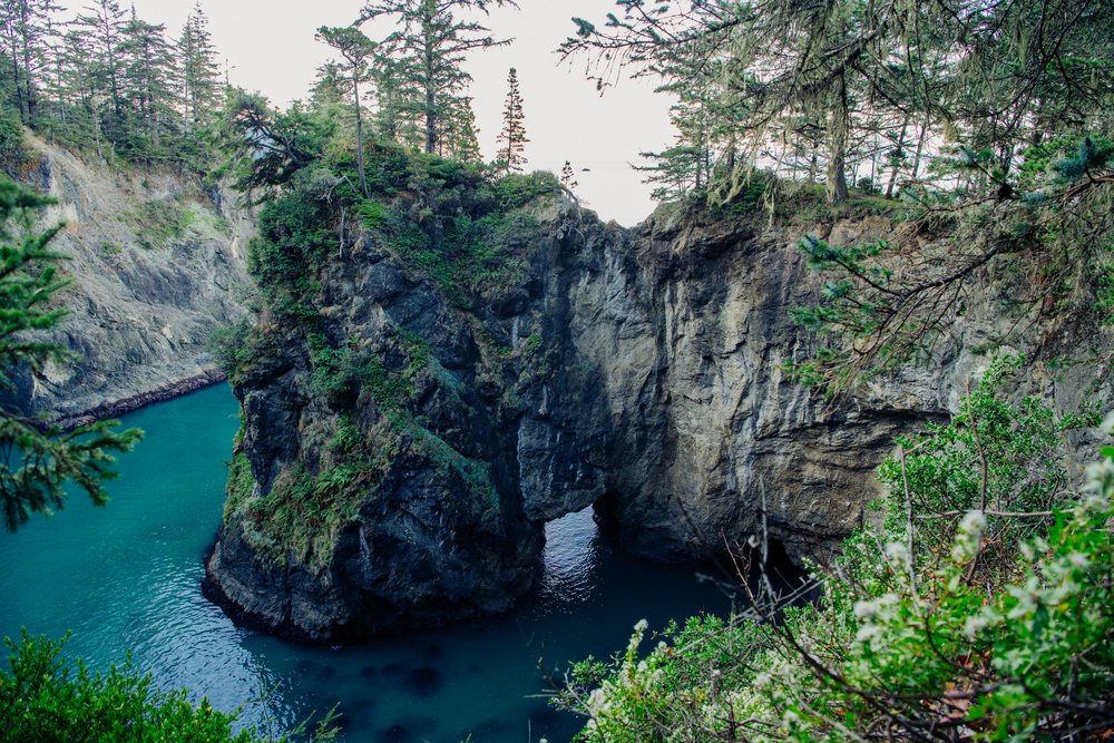 Natural sea arch rock formation surrounded by evergreen trees and turquoise ocean water, Boardman State Park, Oregon, USA.