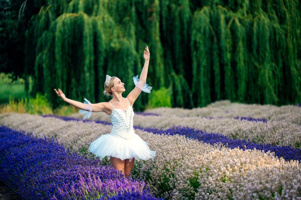 A ballerina wearing a white tutu and tiara gracefully poses with arms raised in a lavender flower field under green willow trees, WA, USA.