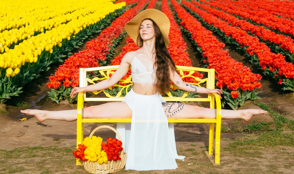 Woman wearing a summer hat performs a split on a yellow bench beside a basket of red and yellow tulips in a vibrant tulip field, USA.