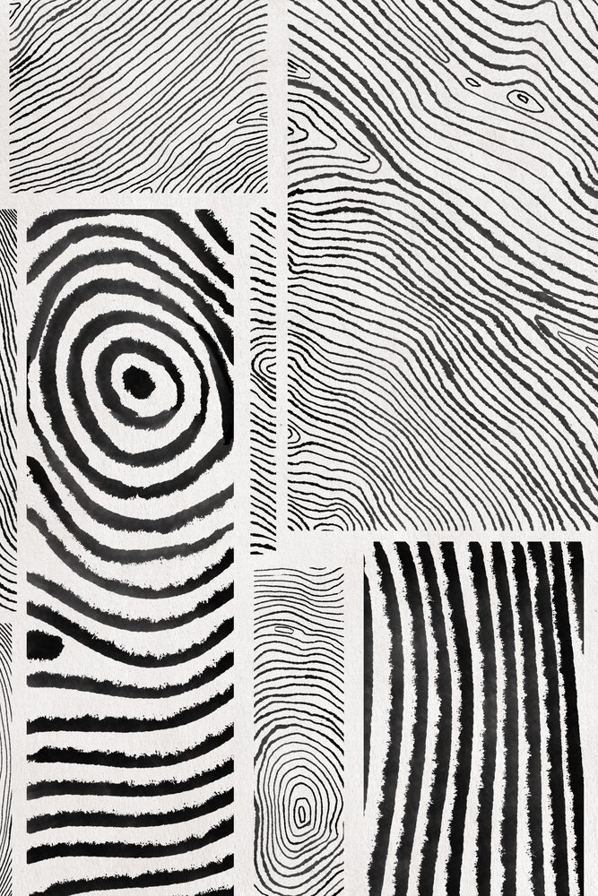 hand-drawn black line patterns in various abstract shapes and stripes on a white textured background creating an artistic composition, illustration.