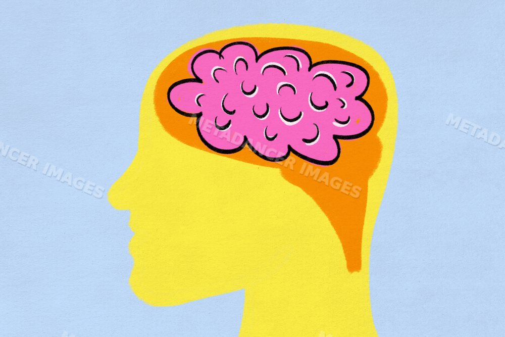 Colorful brain illustration inside human head side profile
