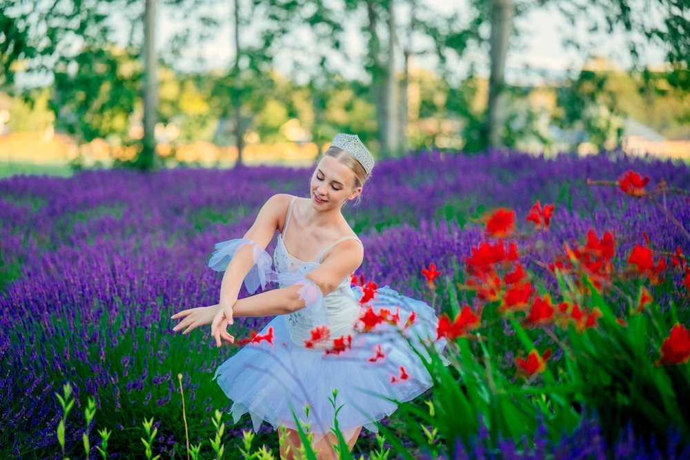A ballerina wearing a white tutu and crown performs a graceful dance pose in a vibrant lavender field surrounded by red flowers, WA, USA.
