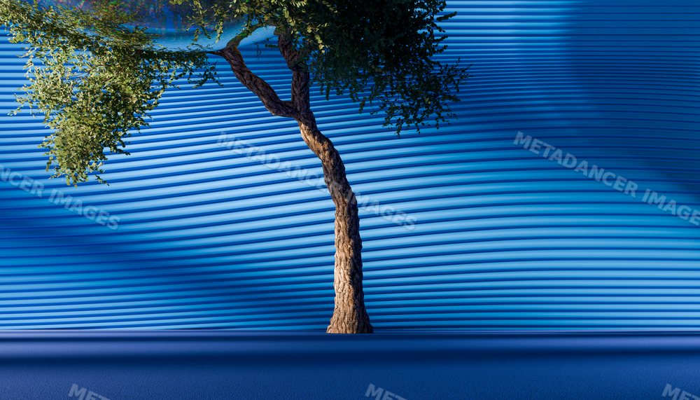 A tree with curved trunk casts shadows against a rippling blue wall