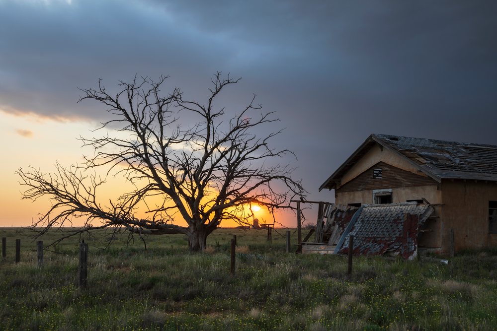 Sunset behind a Dead Tree beside an abandoned homestead with a weathered roof and fence posts in Texas Great Plains, Storm Chasing, Brownfield, USA.