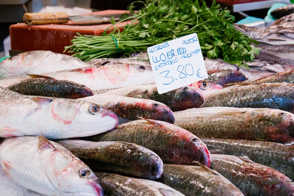 Whole fresh fish and a green parsley herb bundle are displayed on ice at a seafood market stall with a price tag visible, Catalunya, Spain.